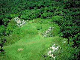 Ciudad cubierta por la selva